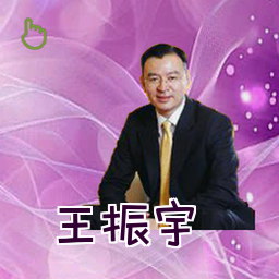 王振宇